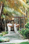 Royal Palm 